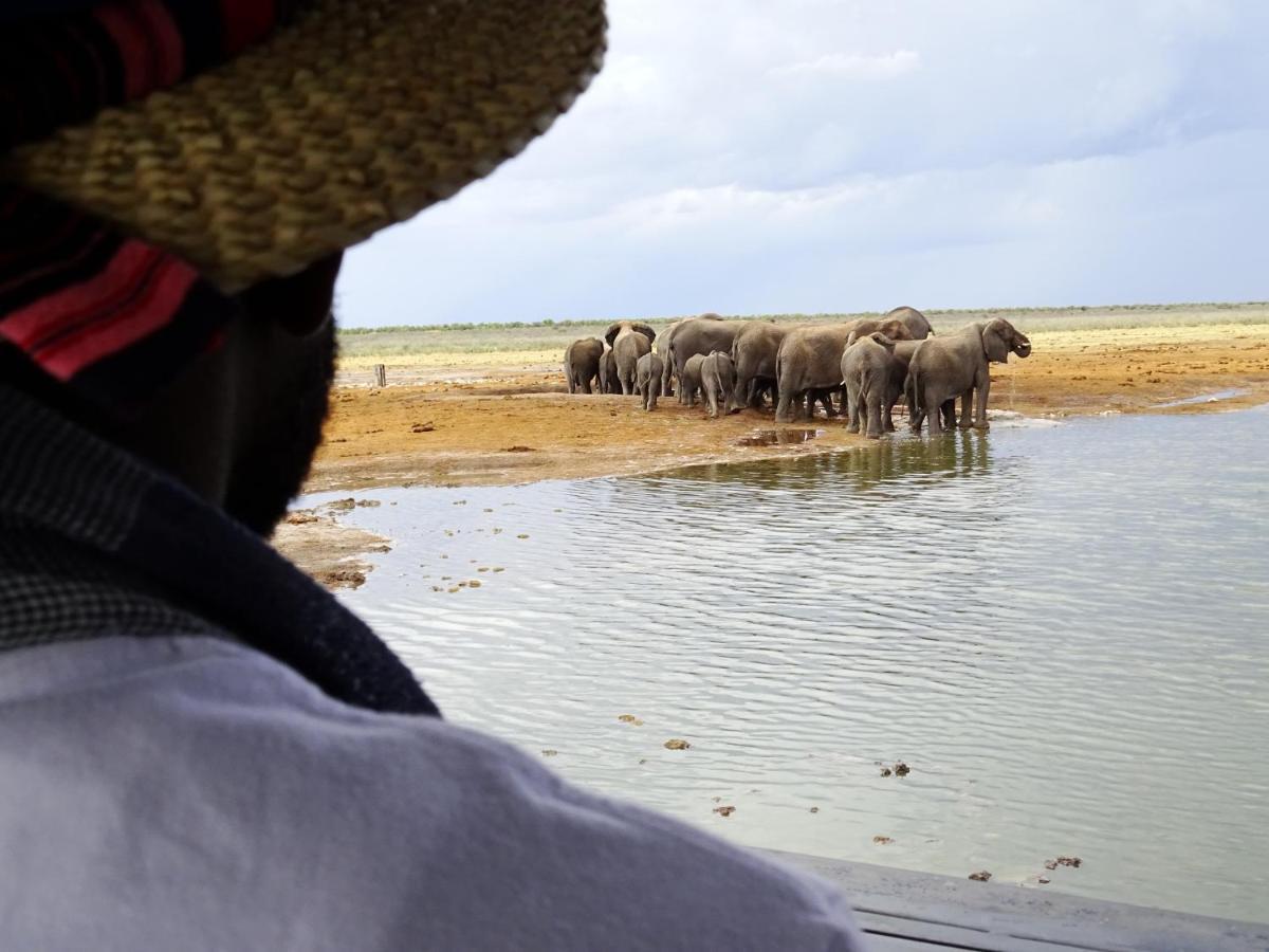 Etosha King Nehale Villa Omuthiya Luaran gambar