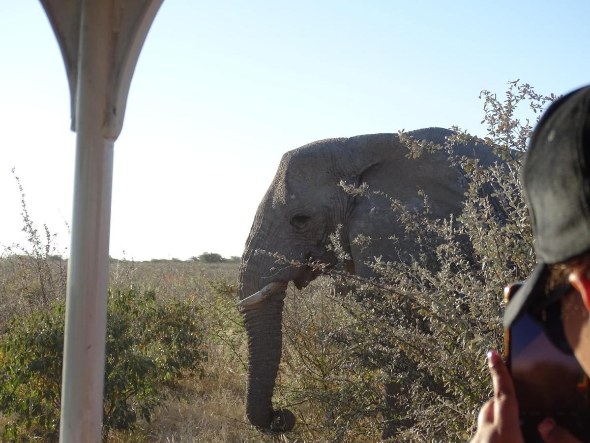 Etosha King Nehale Villa Omuthiya Luaran gambar